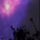 111189782414502508690018548376741228431659507914288288965324978944746071261185