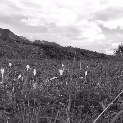 Item #107742627867956892364714120184147413803821811265510288122929724889444315561985 Media