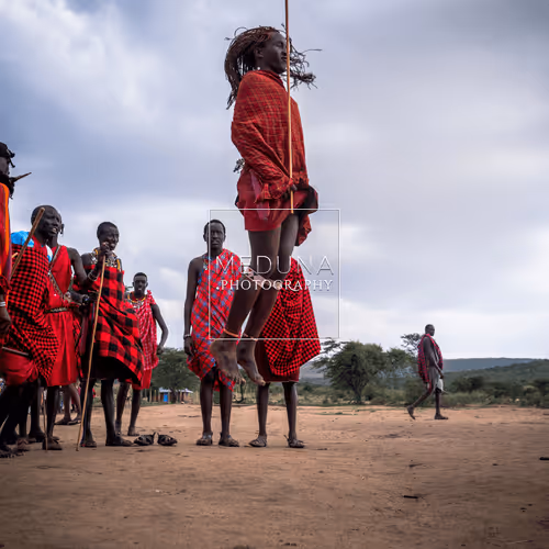 Item #112381046722962836592974674419935165827730707126809541689433939904208360701962 Media