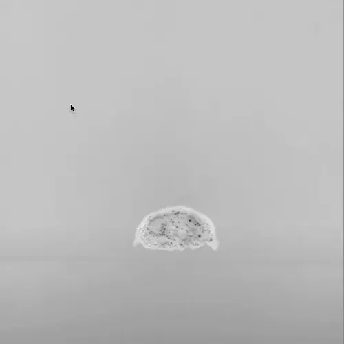 Item #64696532479233108854387560646744987294282849455415443901307441096655772844033 Media