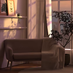 Empty Sofa