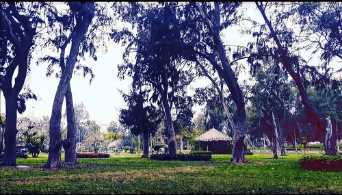 Item #99240698403131764357396770641695198226804647575338296481324929427077295243265 Media