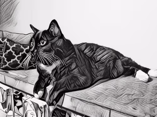 Item #47363753603702379708308966357623410528548816847410412850833506643184371892324 Media