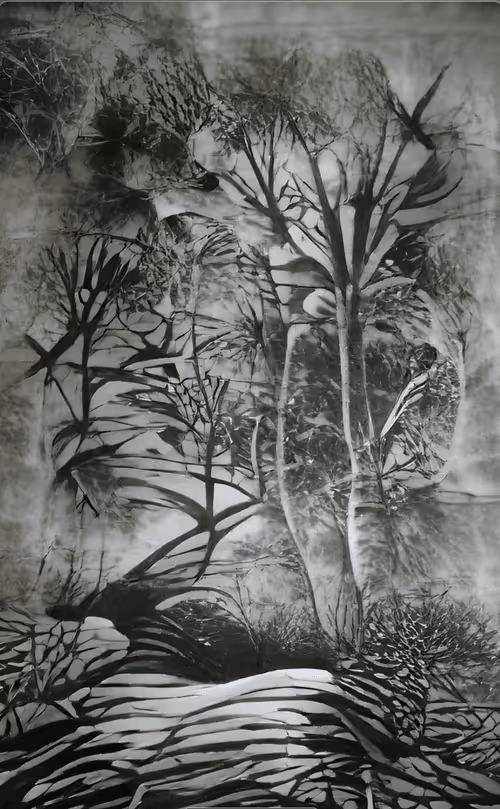 Item #30811687512936222812019848403034405815103538908942015009062010319670446391297 Media