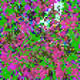 106893548372693171049138493794412083069518100700086217201222694301626703806465