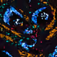 51035831196730683379520530335362301317947524469059391861231956785245655662593