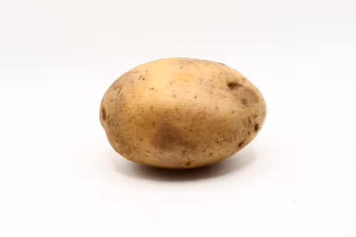 Item #97726151104522163495278545296769301934737660224123995419035737056419277438977 Media