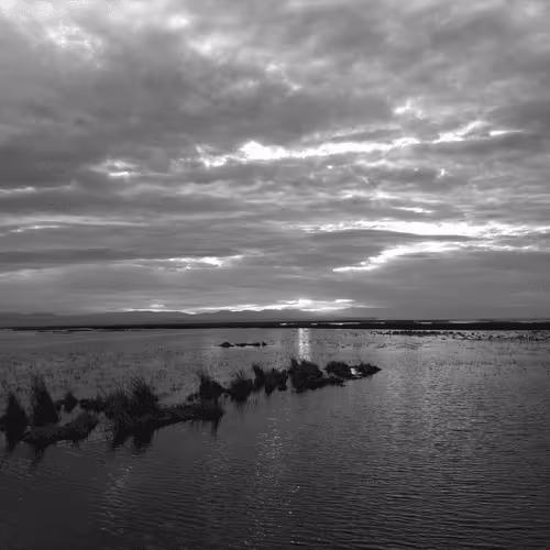 Item #107742627867956892364714120184147413803821811265510288122929724919131129511937 Media