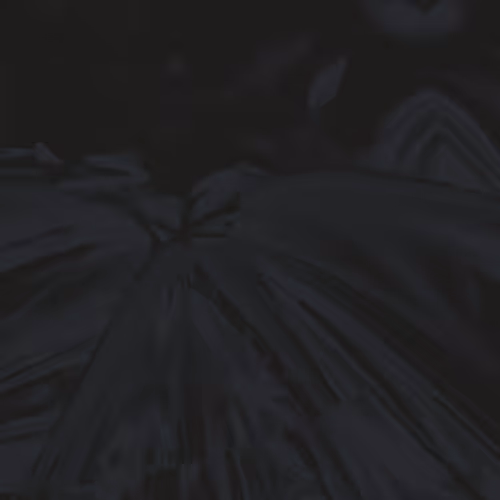 Item #52047030222215786513177933774286941329319942176495723468285625567249577279489 Media