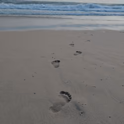 imprint of eternity