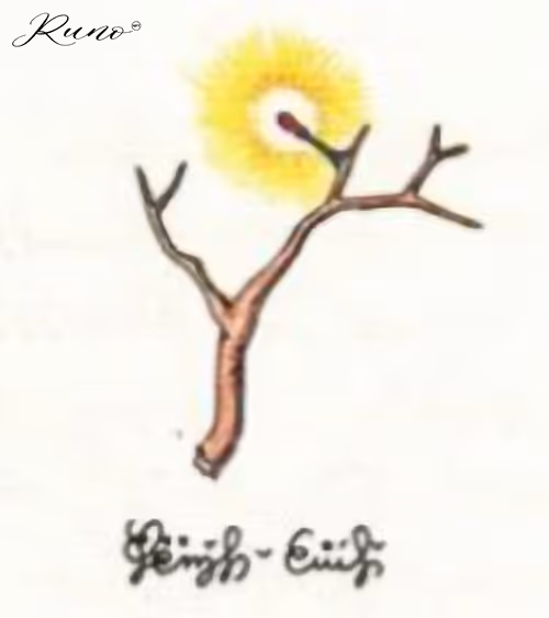 Item #82027568132874209204905566475371830288322008056794566303556806042793518563333 Media