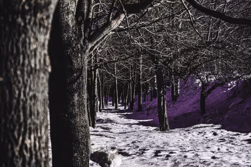 Item #30722437421260437181032699812971068310552594601317848435133761745211539587073 Media