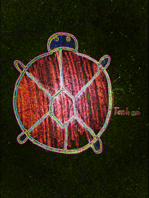 Item #80926432860847288351557924068159633664804178470775081465336394302406671242880 Media