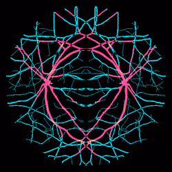 7078802064077755305879053961196844759257248211509687953083586677448204353537