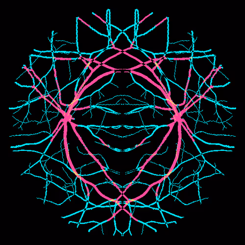 Item #7078802064077755305879053961196844759257248211509687953083586677448204353537 Media