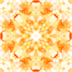 Symmetrical Madness Second