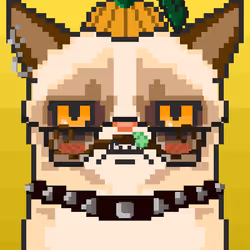 76858086254694396899925795249681536002186406883673212666891134621546172121089