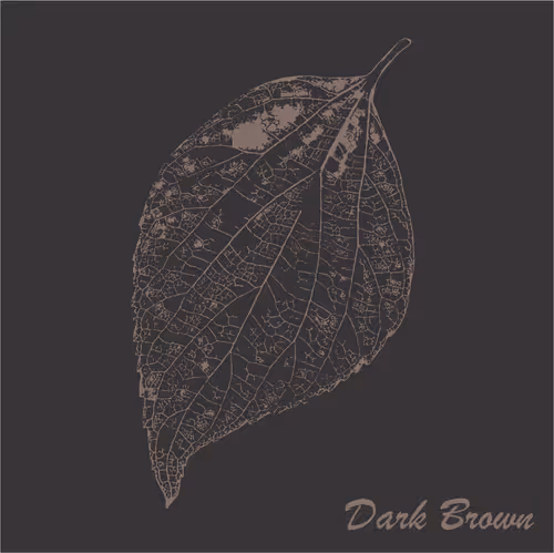 Item #40167138637940562108431742001123872206105593199433866487640627816476092399617 Media