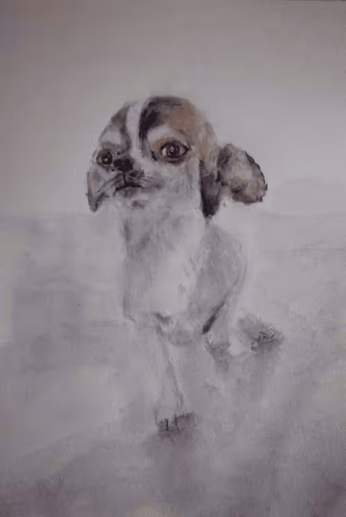 Item #53661683660994396488981893260373811515315705590489664499670501577227463919264 Media