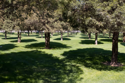 Item #75910940865497505828175027712835434878511904351959988832947875649583111471204 Media