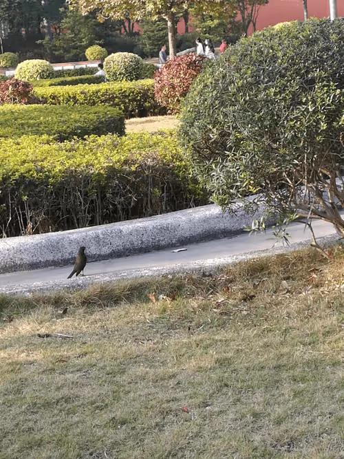 Item #105057883243597752943893910039238115039509970010382678399475215123493016305665 Media