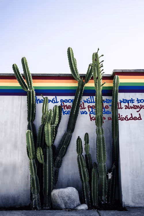 Item #68956660455802920949406474332140117379218782181167192068464389513616862216193 Media