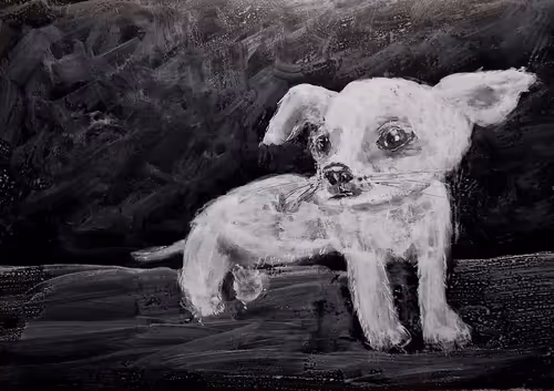 Item #53661683660994396488981893260373811515315705590489664499670501587123068569248 Media