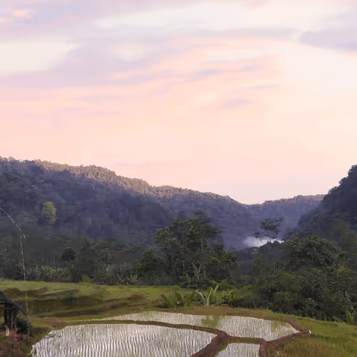 Untitled Collection #169481409