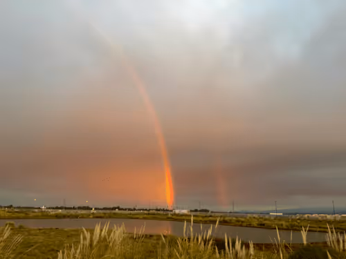 Item #88374794551078486258543346570480203677379904542062447889345517185674602610691 Media