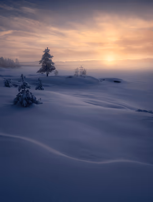 Item #96581077355438815098839991825512832741865857060493476294166675745761713455105 Media