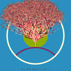 74168867016011539093366687608765447348507224284888477074887990123397457641473