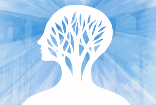 Item #1758017108070067974278433321247319066275387237759396501693338306649878691841 Media