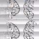 NFTAmongChains Collection