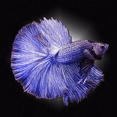 Item #73423654428024661336379470947819889295714855264791127270755008421489469816852 Media