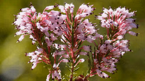 Item #75866091947728652238534111254584504918190435733442380629681527330659721281537 Media