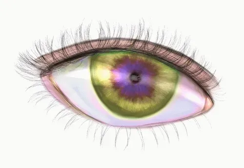 Item #42950694591796666568266939449637019646211598636303907727097118045214802444289 Media