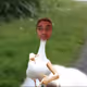 89434871535753286464640642118736372855589044881393890310787137978026357161985