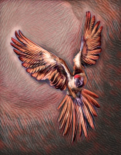 Item #5268166588450870648624449421433370993939742768172324454239271391107636789249 Media