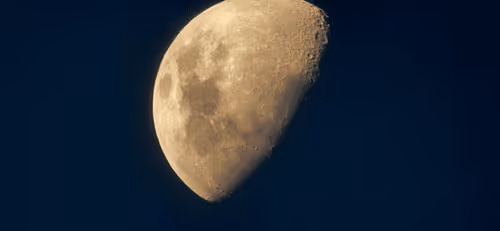 Item #78774018974347764357765192518377150739749637856503949941232678341307772436481 Media