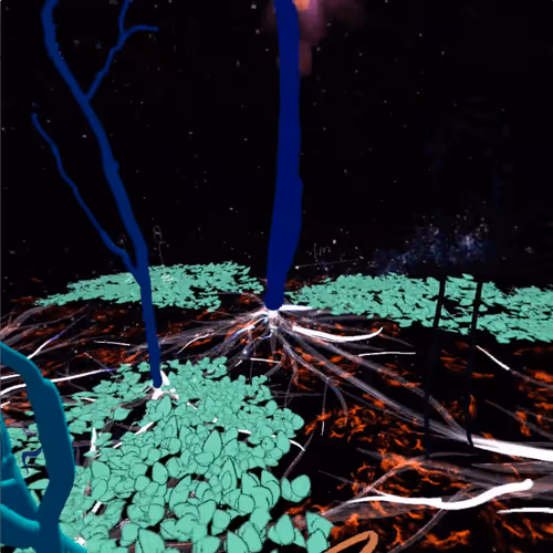 Item #46267743495132859547511032037696953227726596585589071183384475925347924180993 Media