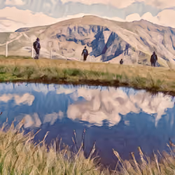 Reflections