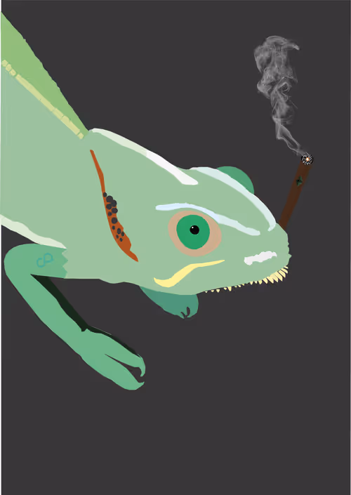 Item #46679994496108624530020148644785155104419172278486625888968680979515117142017 Media