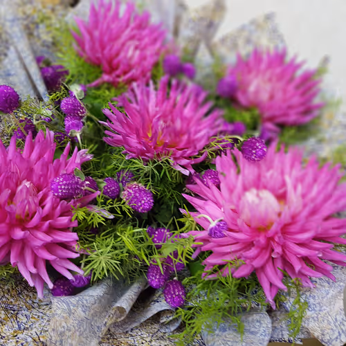 Untitled Collection #139423528