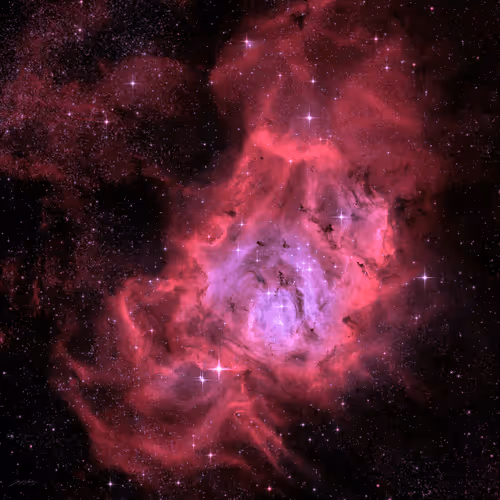 Item #5616953568499340907775711825497604278044637464082209410752742837361414504449 Media