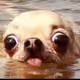 27234824487803958324427286159278413103906717032324582562624179356707305029633