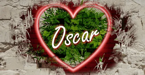 Item #68053287575525751288269231675427811746861684968250582901590729527661950926858 Media