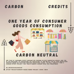 Carbon credits for CO2 emissions of One Year of Consumer Goods consumption