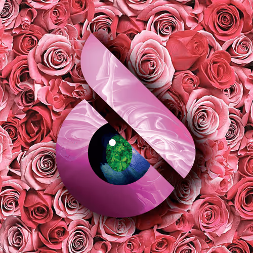 Item #101211213058813924100318048234035670443164034648244863578499280069711525576705 Media