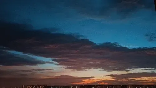 Item #54545336870129037164307986437789858251348704753246412266065009473447505428481 Media