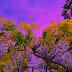 Tranquility in a Post Crypto World Number Five